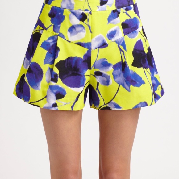 Milly Susie Multicolor Shorts - Picture 3 of 3